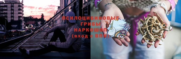 ГАЛЛЮЦИНОГЕННЫЕ ГРИБЫ Богданович